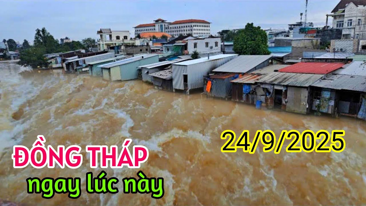 KHỦNG KHIẾP ĐỒNG THÁP NGAY LÚC NÀY LŨ LÊN BÌNH ĐỊA NGẬP NẶNG BÀ CON KÊU TRỜI VÌ Ế ẨM CHỢ CÁI TÀU HẠ