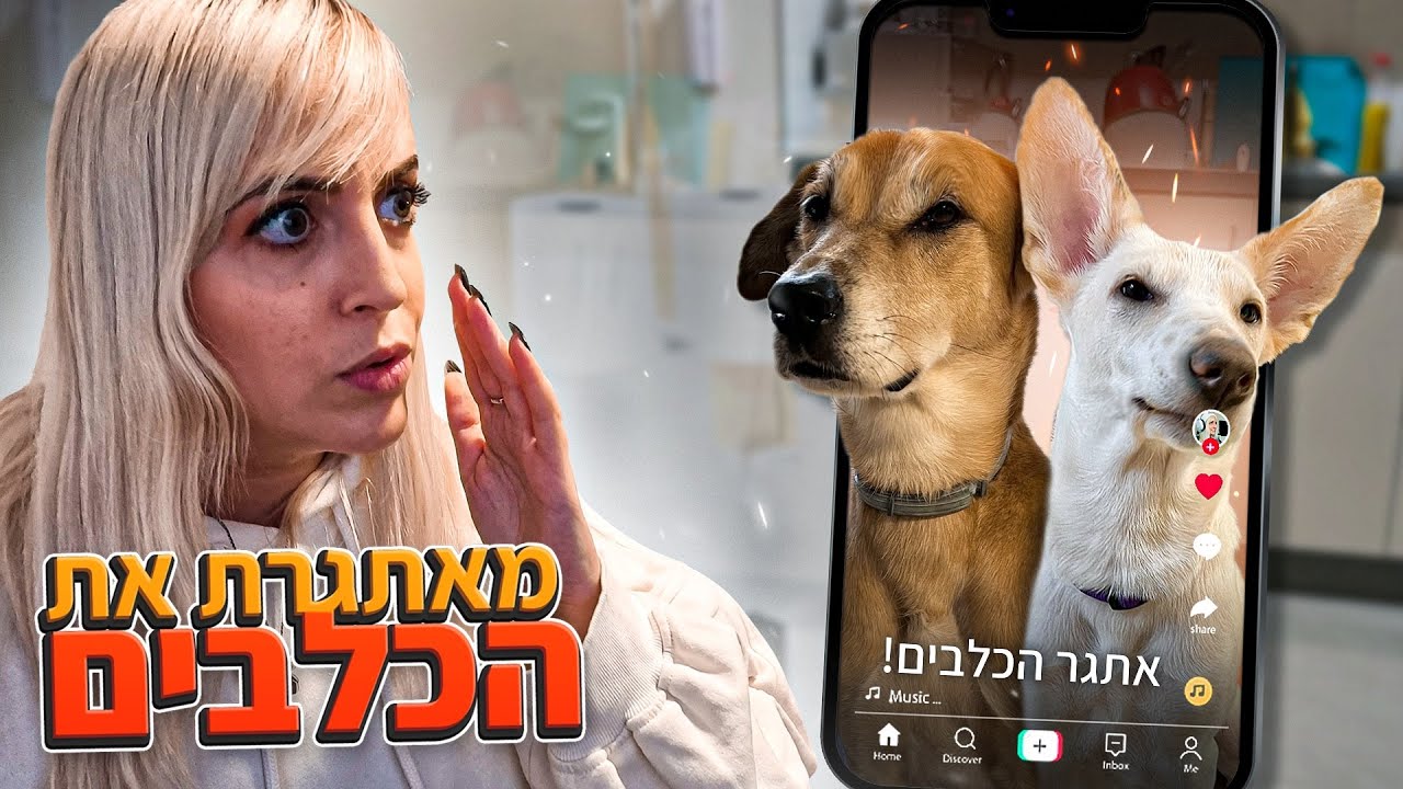 ניסיתי אתגרי כלבים הכי הזויים בטיקטוק על הכלבים שלי!