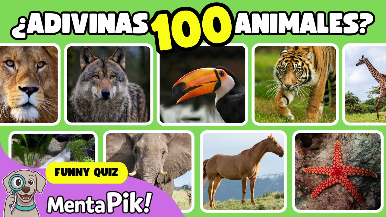 ¿Cuántos acertarás? ¿Conoces estos 100 animales? | Nombres de animales para niños | Quiz