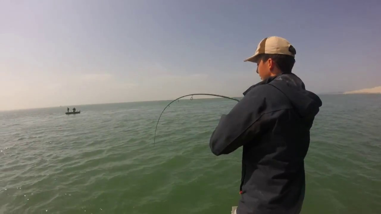 p&ecirc;che du maigre et de la raie sur le bassin d'Arcachon