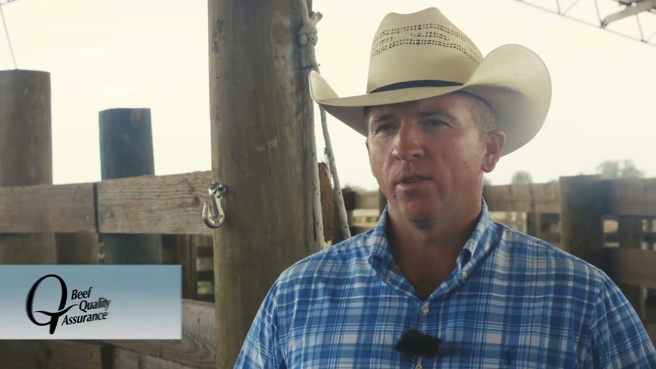2021 BQA Cow Calf Award - Deseret Land & Citrus, Florida