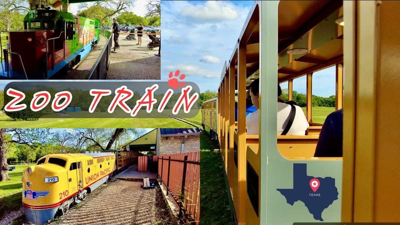 San Antonio Zoo Train,Texas Train Ride 2024 4K 60fps