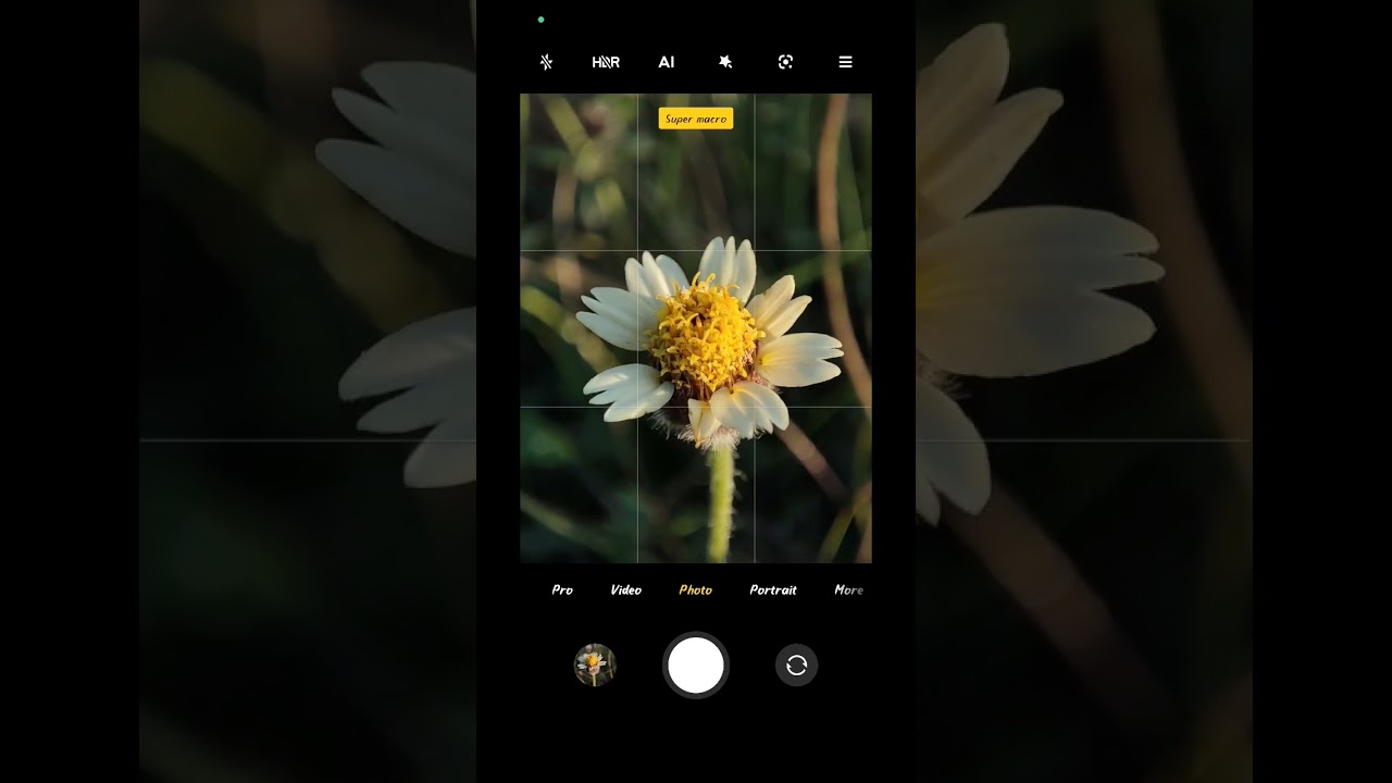 micro flower photography in mobile phone 📱💮😱😱#photography #mobilephotography #photographer