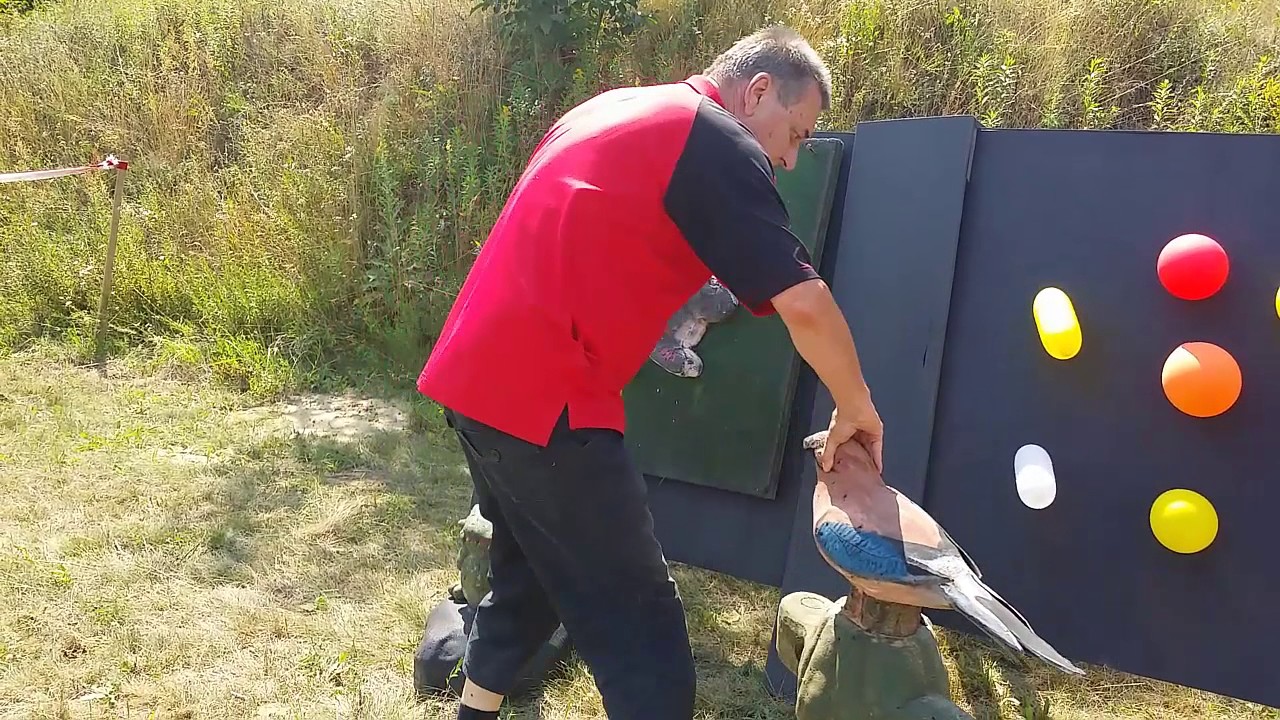 GENIAL EINFACH - Event Bogenschiessanlage f&uuml;r Feste & Events
