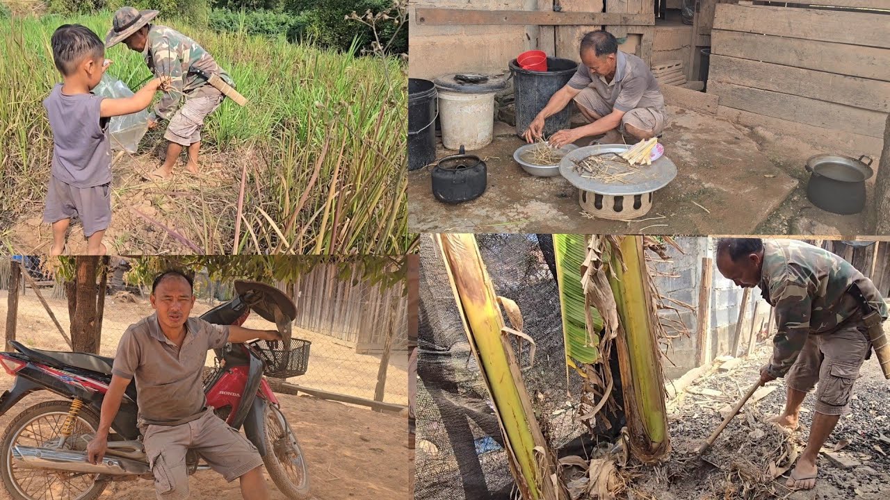 mus nrhiav  tshuaj  rau txiv  haus