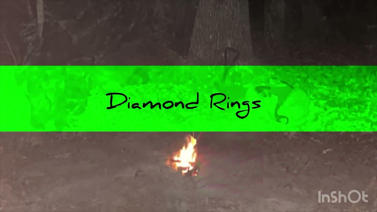 Trexture- Diamond Rings
