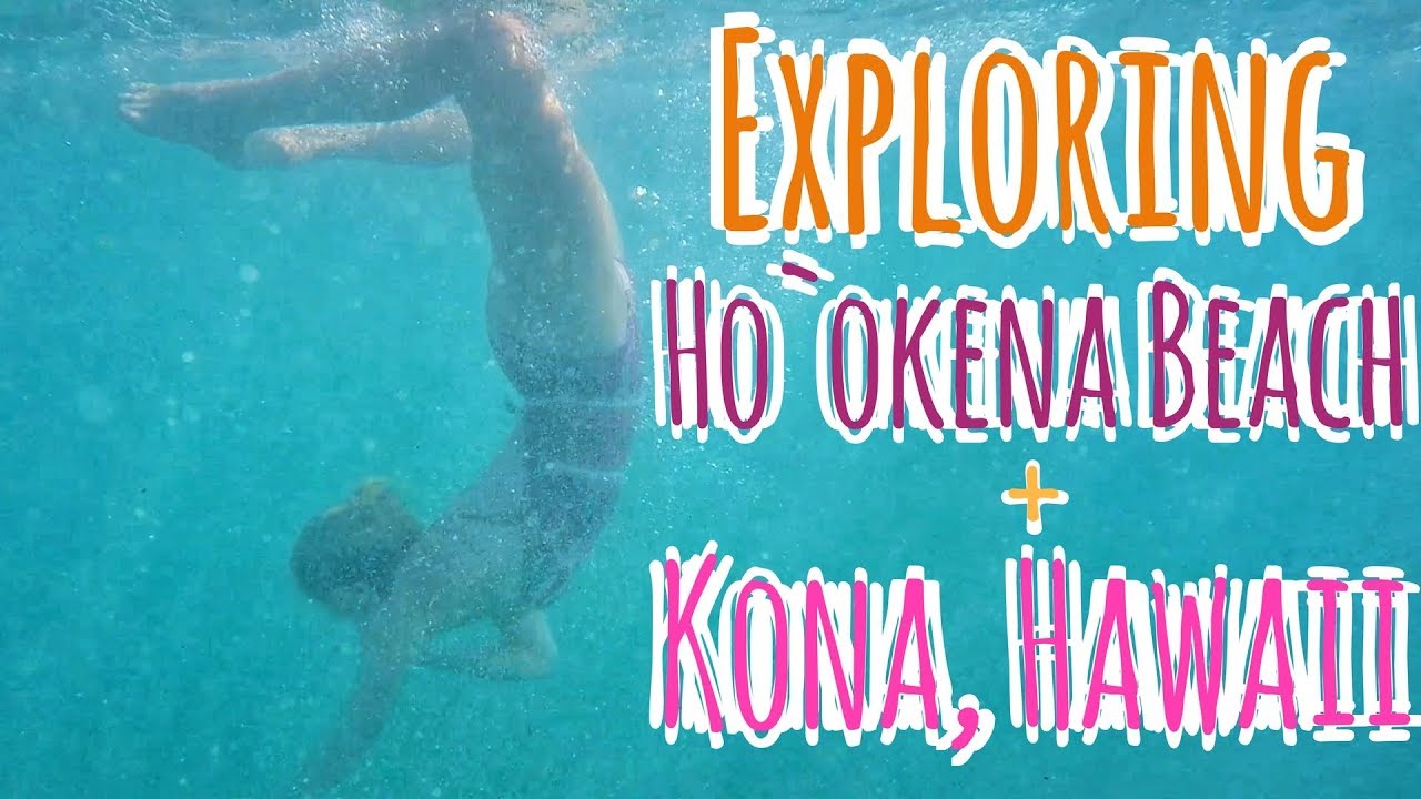 WWOOF Hawaii Adventure Vlog // came for the dolphins LEFT FOR THE SHARKS!!!!!