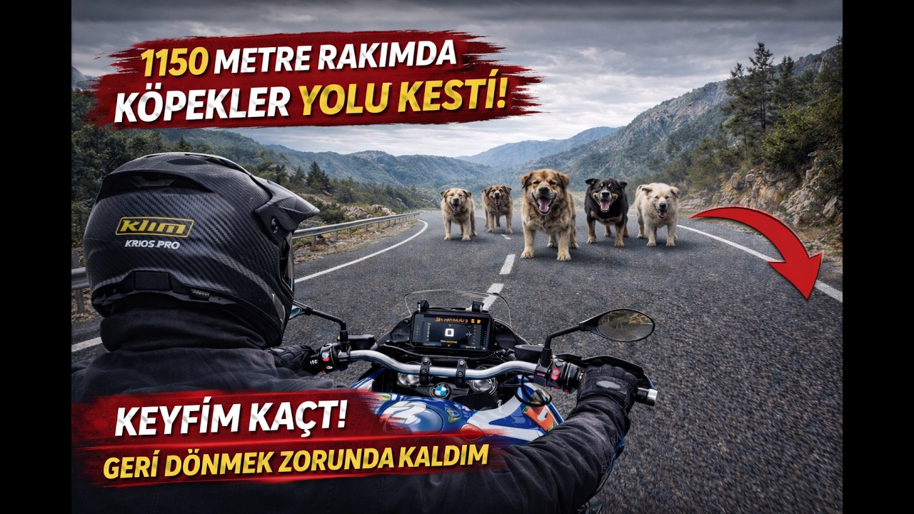 1150 Metrede Köpekler Yolumu Kesti! Antalya Dağ Yolunda Geri Dönmek Zorunda Kaldım