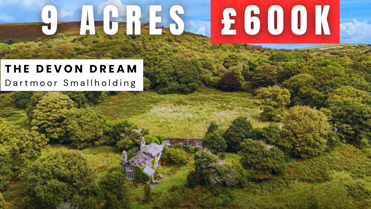 The Devon Dream | 9 Acres in Dartmoor National Park
