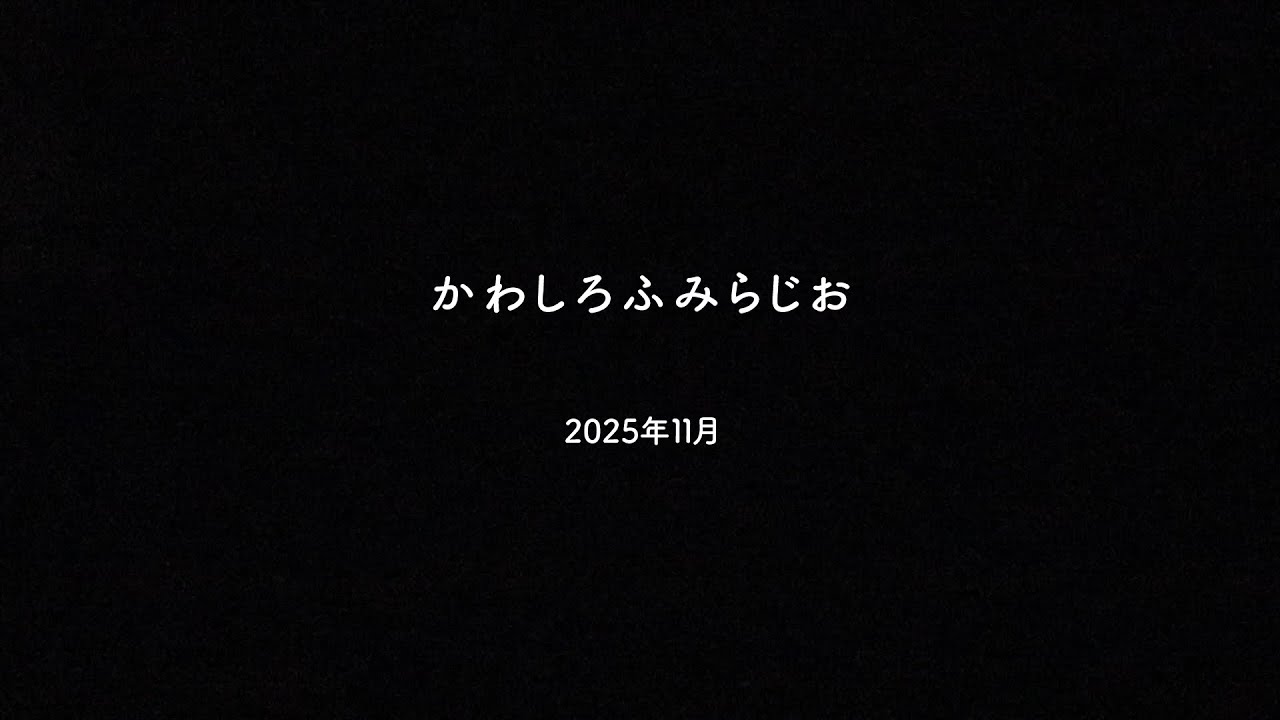 2025年11月