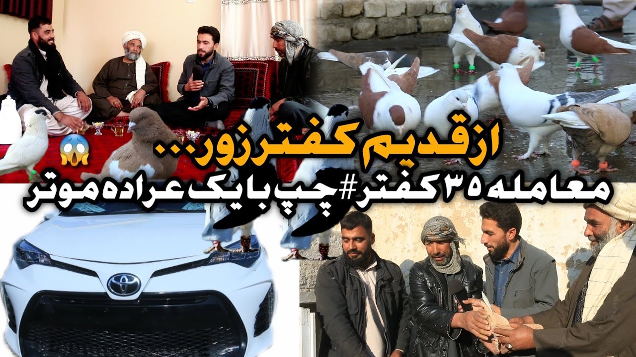 معامله ۳۵ کفتر چپ با یک عراده موتر | Deal of 35 Pigeon with a car | pigeon lovers
