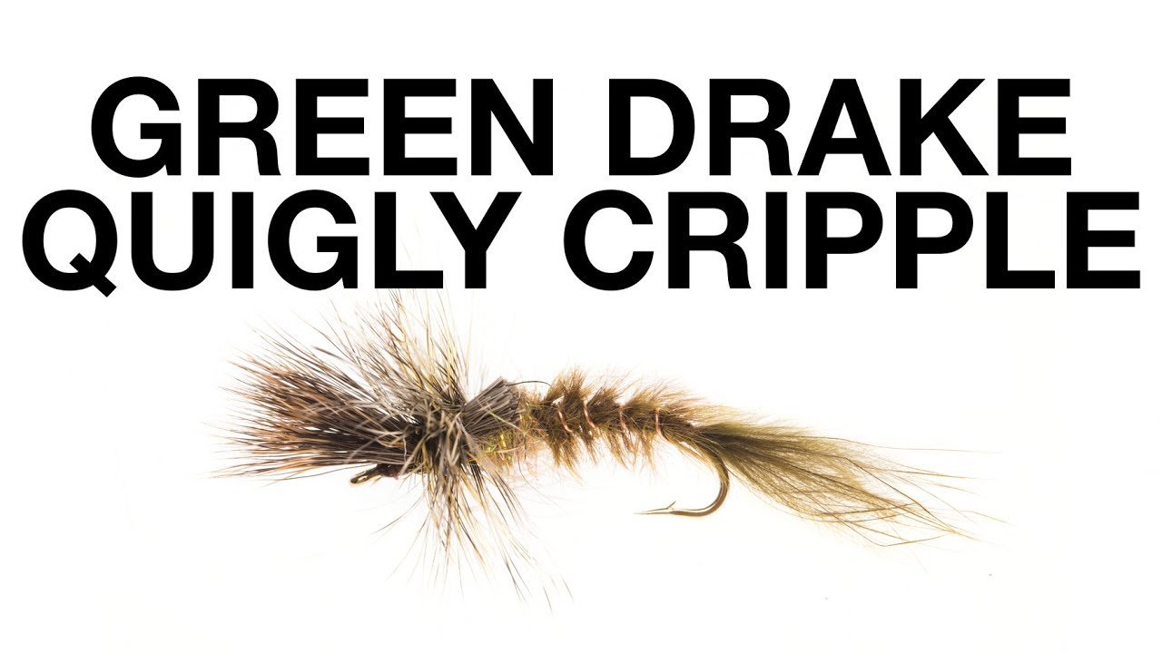 Green Drake Quigly Cripple