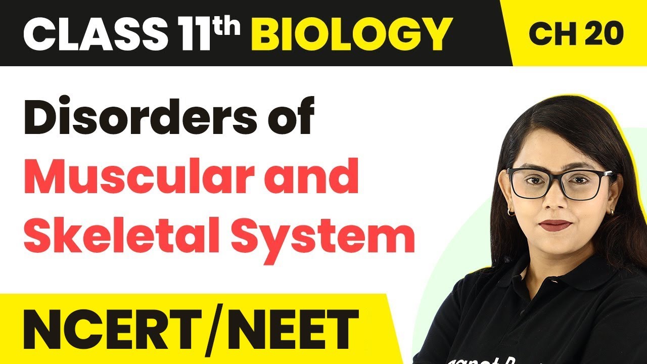 Disorders of Muscular & Skeletal System - Locomotion & Movement | Class 11 Biology Ch 20 NCERT/NEET