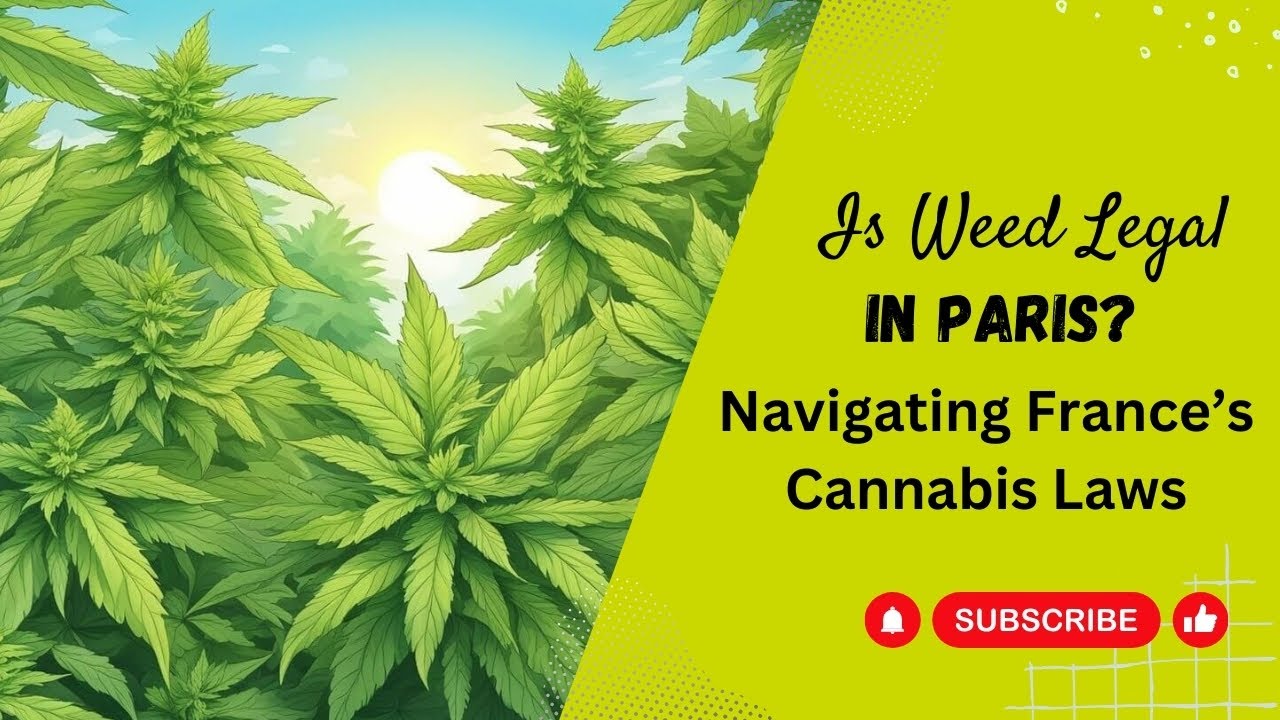 Is Weed Legal In Paris? Navigating France&rsquo;s Cannabis Laws