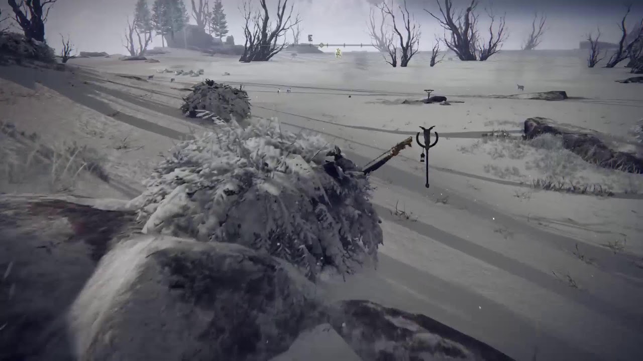 Shadow wizard money gang🐦 - Elden Ring - Live