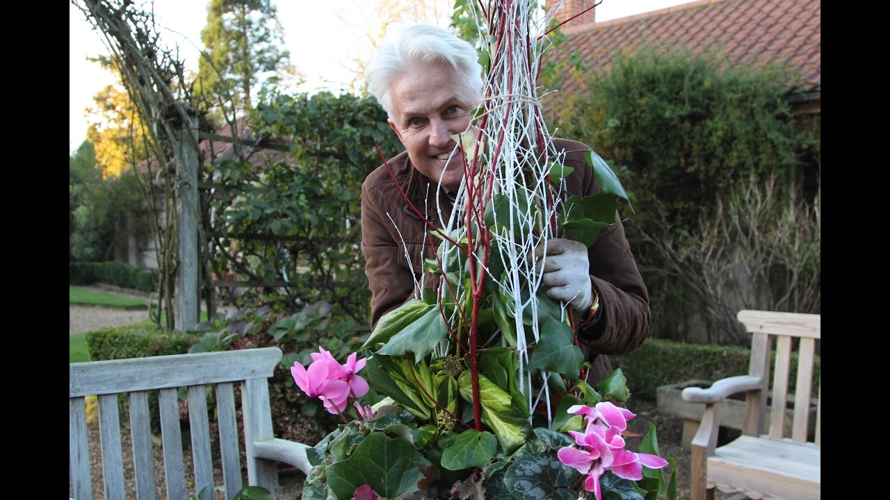 Get Gardening: Winter Wonderland (Winter Container)