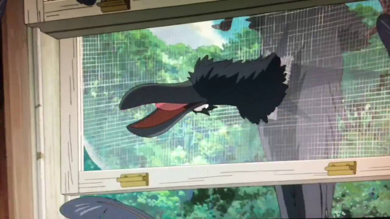 Crazy Crow