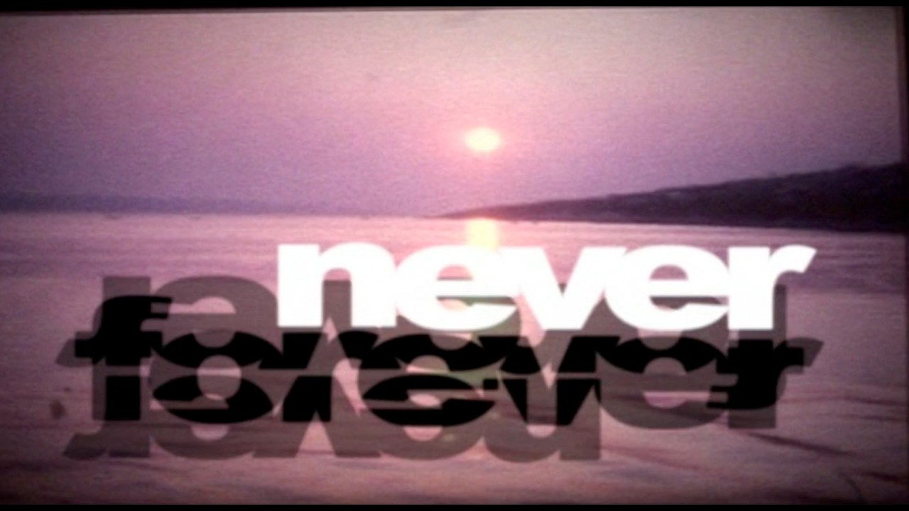 Monster Network 'Never Forever' (2008)