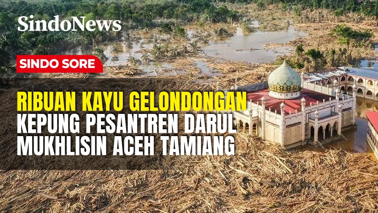 Mencekam! Ribuan Kayu Gelondongan Kepung Pesantren Darul Mukhlisin Aceh Tamiang | Sindo Sore | 22/12