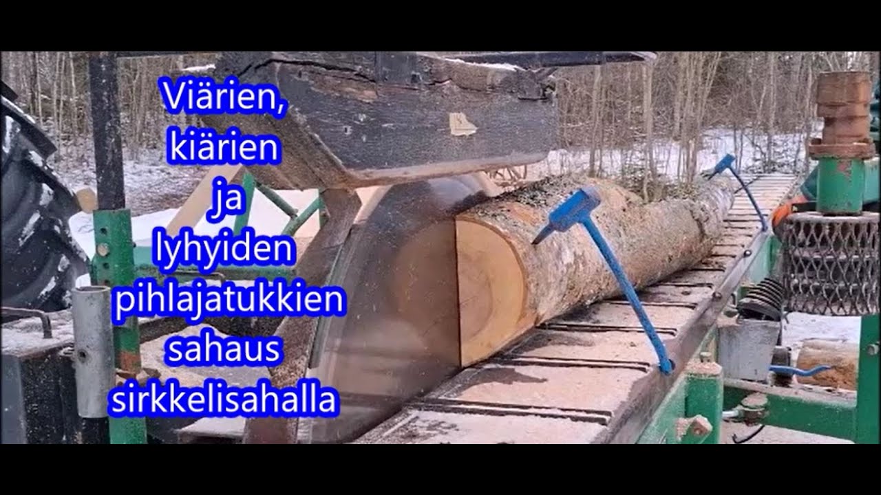 Viärien, kiärien ja lyhyiden pihlajatukkien sahaus sirkkelisahalla