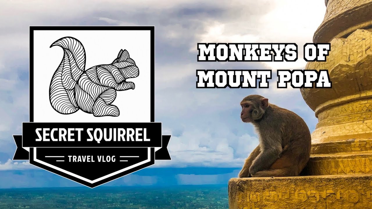 HUNDREDS of Monkeys on Mount Popa!