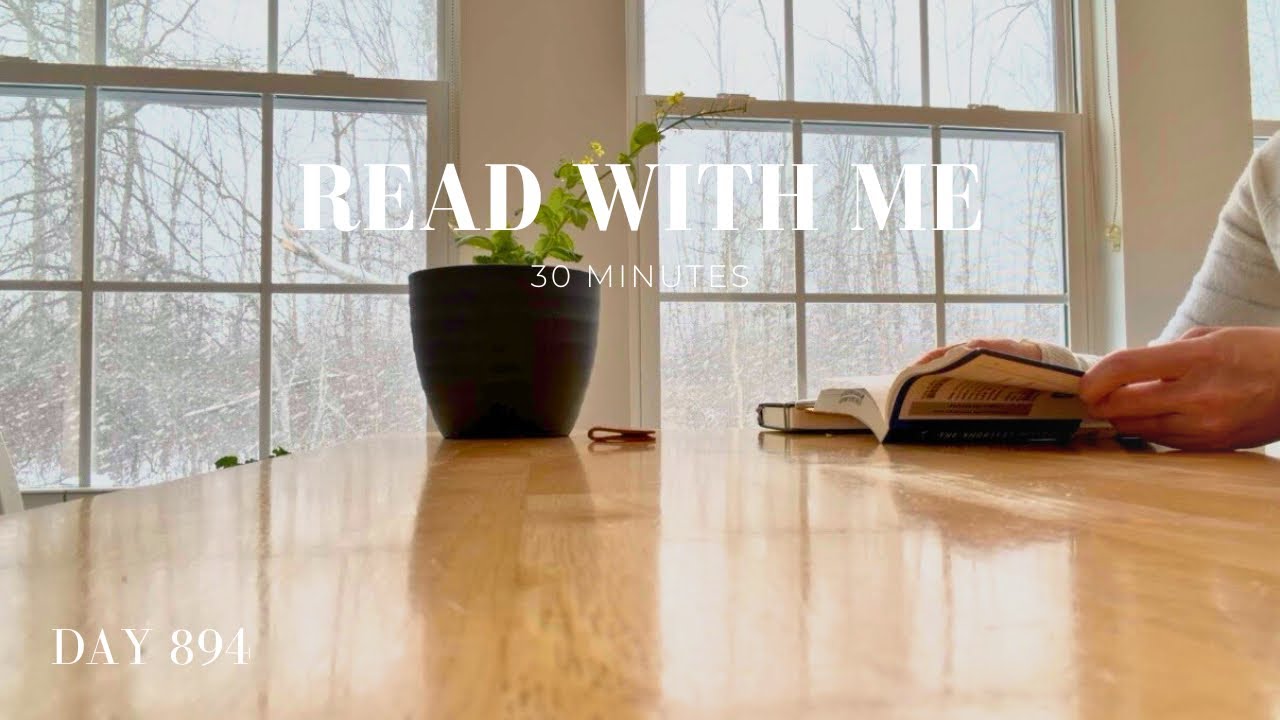 Read With Me ❄️ 30 Minutes | Snowy Window Reading | Cozy Calm Focus | Day 894