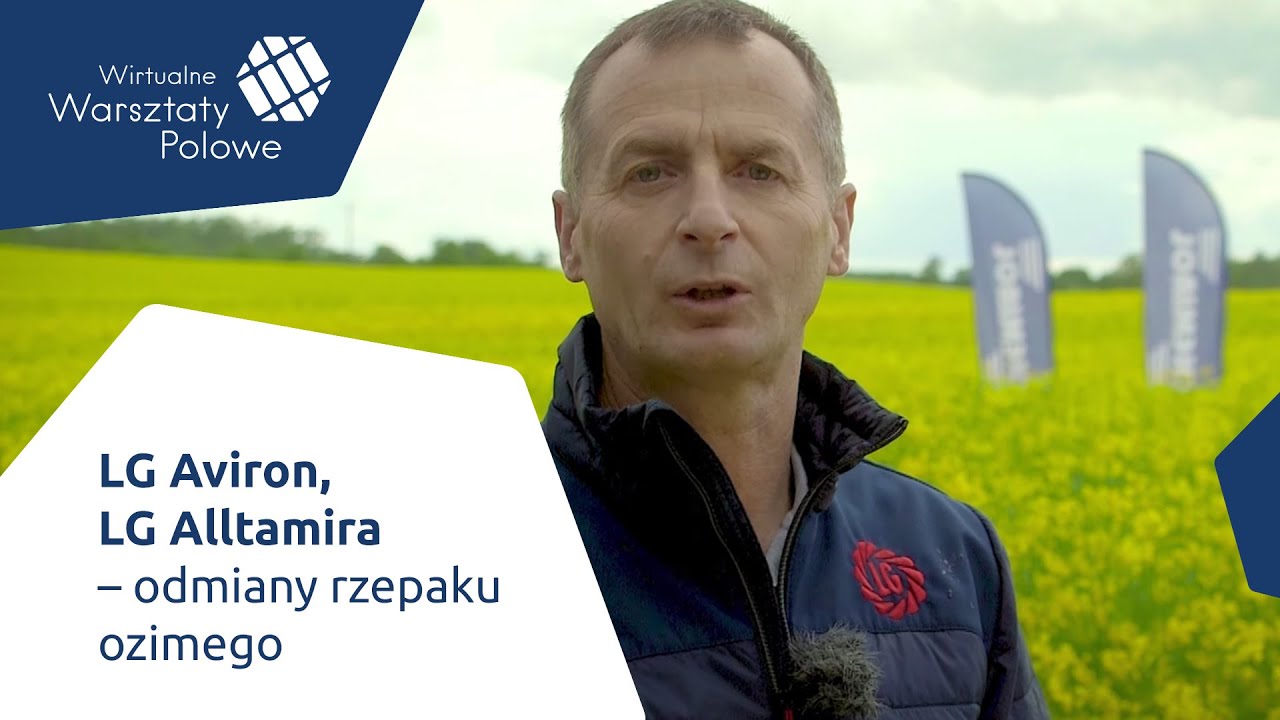 LG Aviron, LG Alltamira - odmiany rzepaku ozimego || Wirtualne Warsztaty Polowe 2021