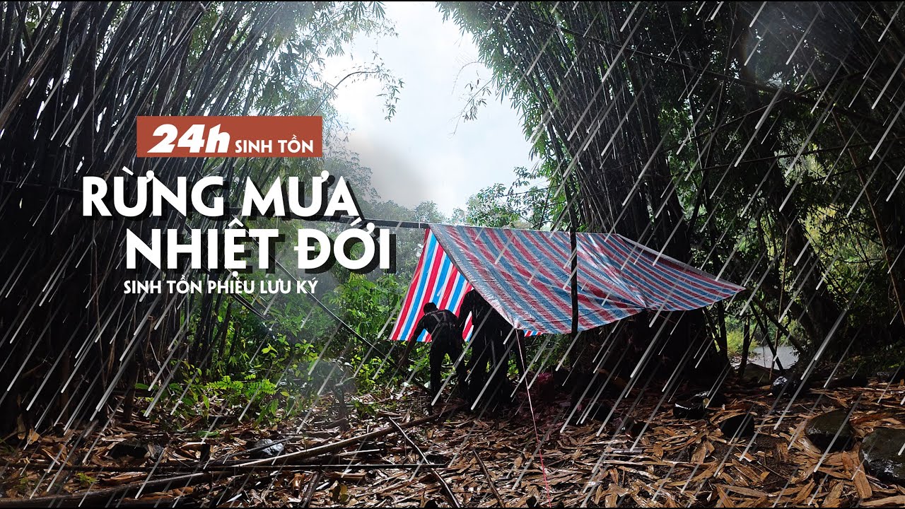 24H Sinh Tồn, Rừng Mưa Nhiệt Đới, tìm thức ăn giữa rừng | Survival 24H, Rainforest