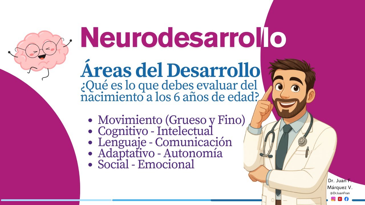 6 áreas para evaluar el Neurodesarrollo Infantil del nacimiento a los 6 años.