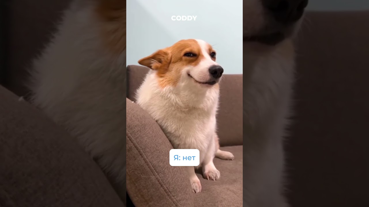 💙 у кого так было  #coddy #coddyschool