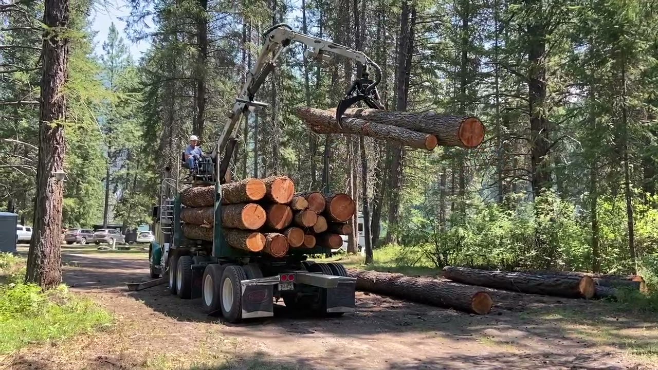 Self Loader loading our logs