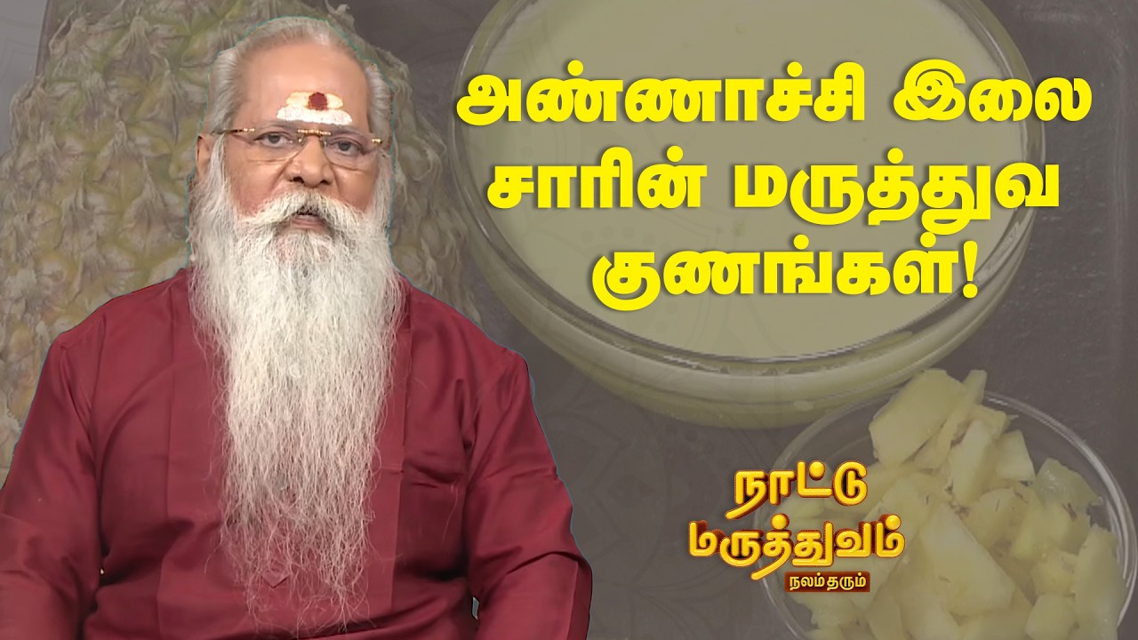 அண்ணாச்சி இலை சாரின் மருத்துவ குணங்கள்! | Nattu Maruthuvam | Sun Life