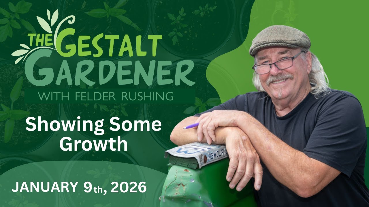 The Gestalt Gardener - January 9, 2026 - Showing Some Growth