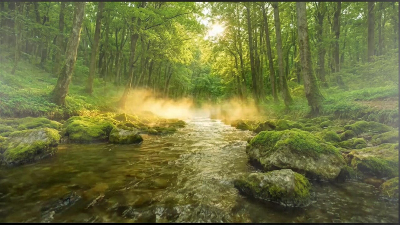 Emotional Healing Relaxing Music in a Quiet Nature Paradise for Stress Relief and Inner Peace ✨
