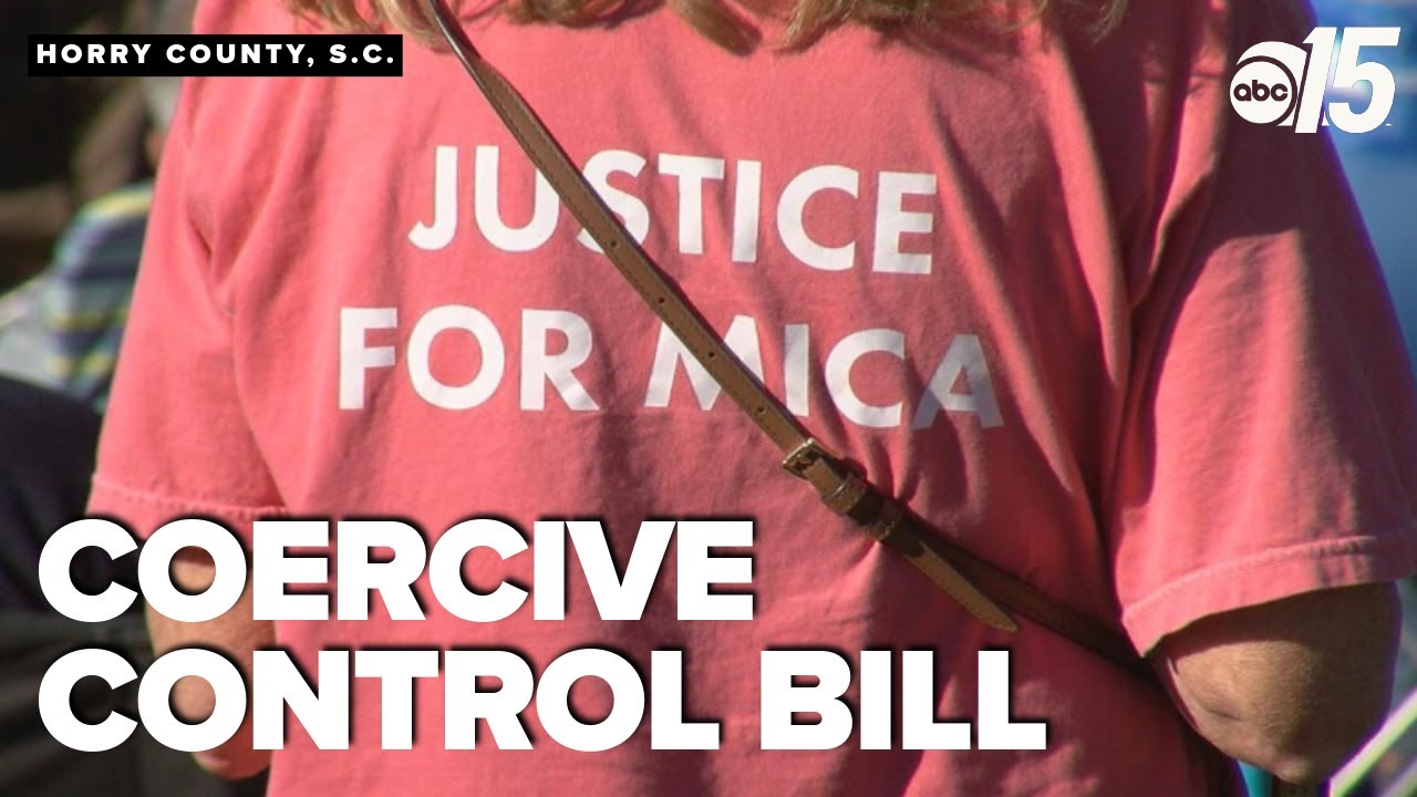 Sen  Goldfinch pushes for coercive control bill to combat domestic violence