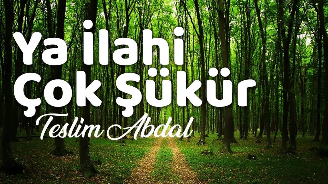 Erenlerle Muhabbet / Ya İlahi Çok Şükür- Teslim Abdal / Süleyman Alan Dede