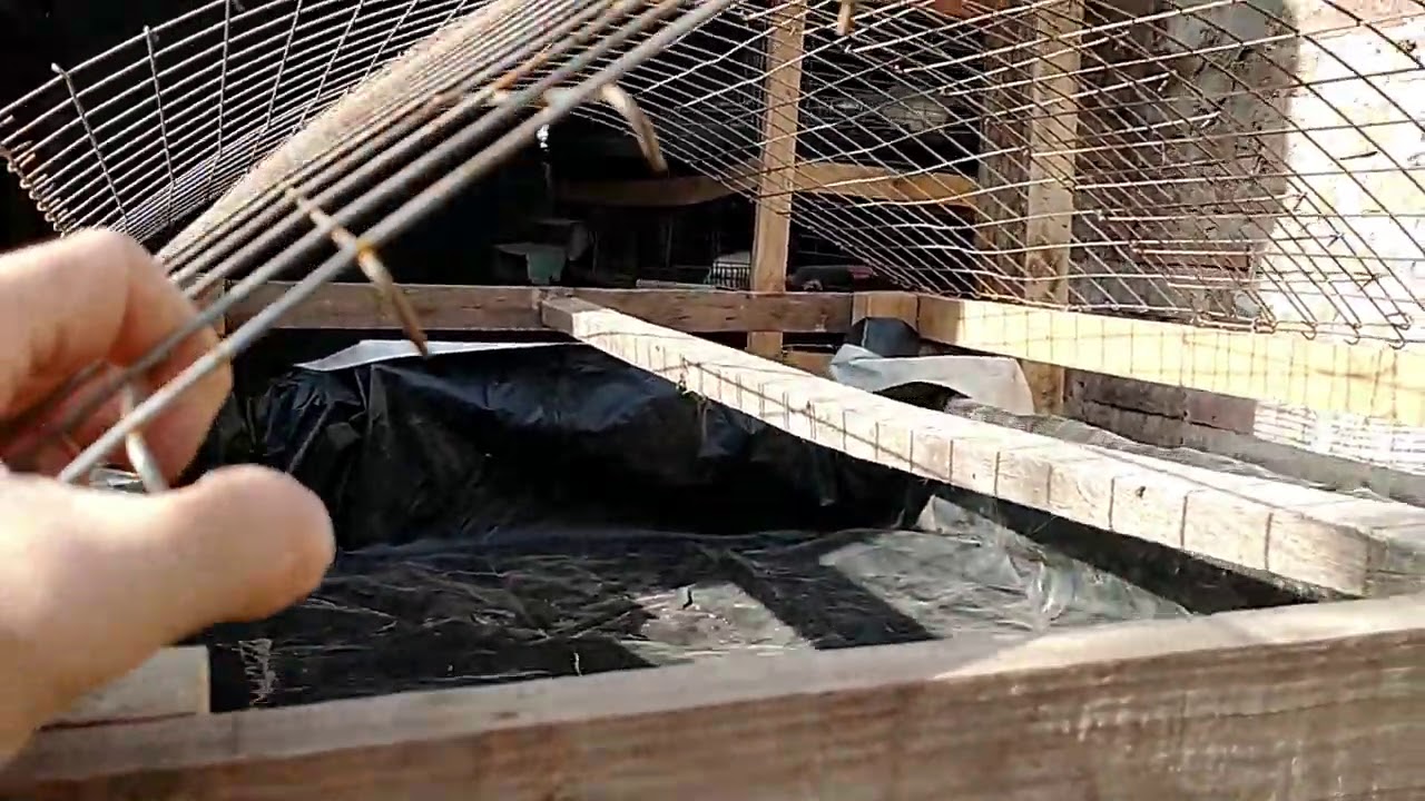 SECADERO O DESHIDRATADOR SOLAR DE CODORNAZA Y OTROS SUSTRATOS / CONSTRUCCIÓN CASERA PASO A PASO.
