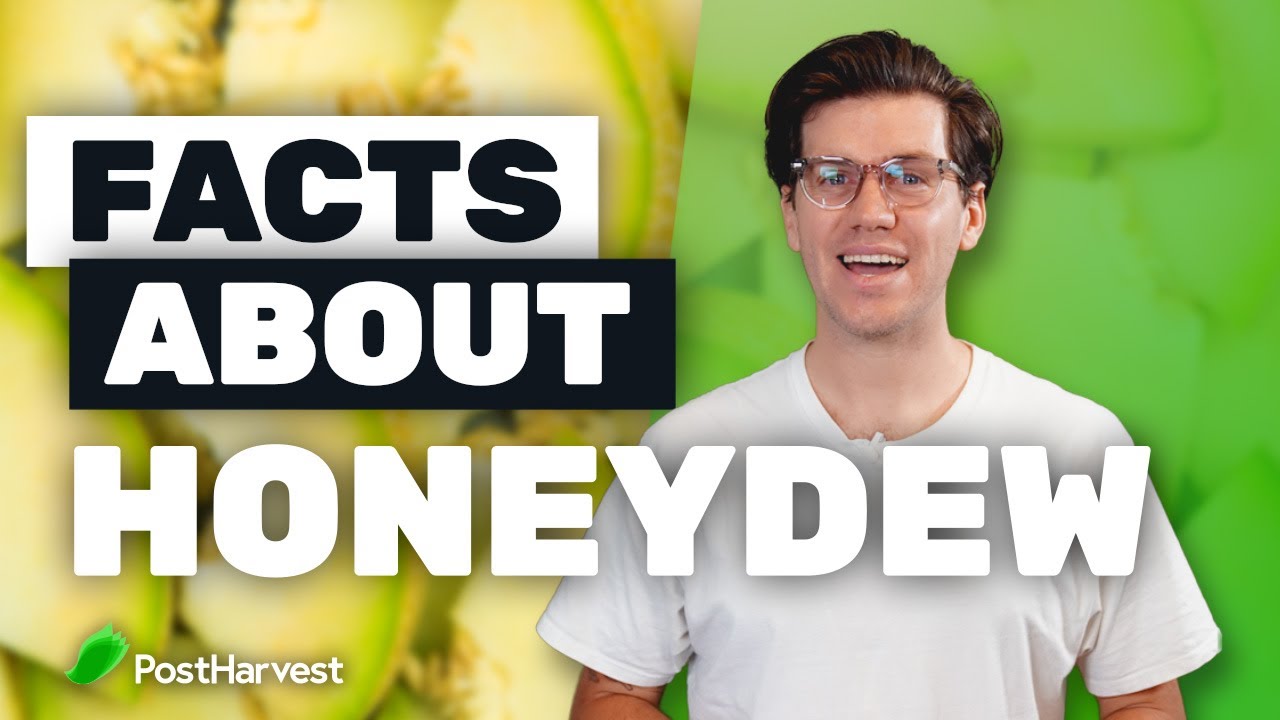 Facts About Honeydew