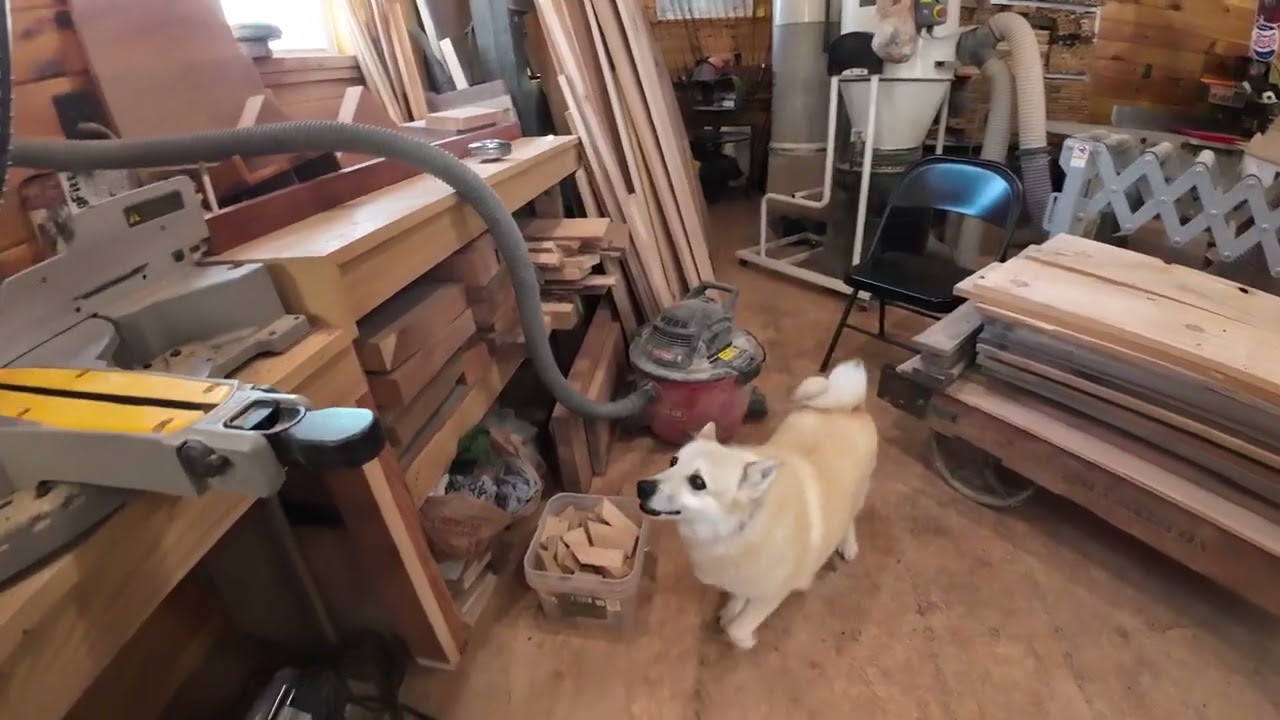Hide a day - high on chair back 3/24/2026