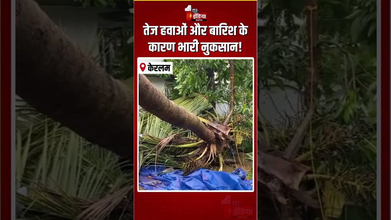 Trees Uprooted In Keralam: तेज हवाओं और बारिश के कारण भारी नुकसान! | Monsoon 2026 |Heavy Rain |Storm