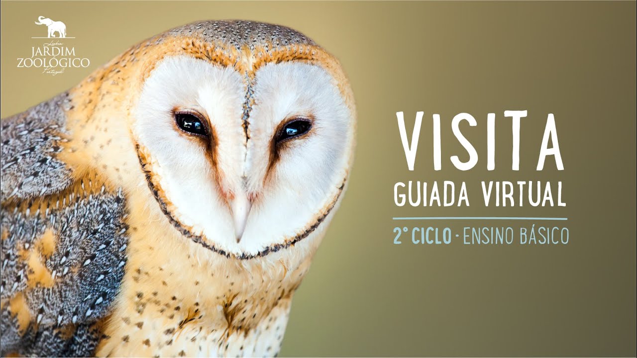 2&ordm; Ciclo do Ensino B&aacute;sico &ndash; Visita guiada virtual | Jardim Zool&oacute;gico