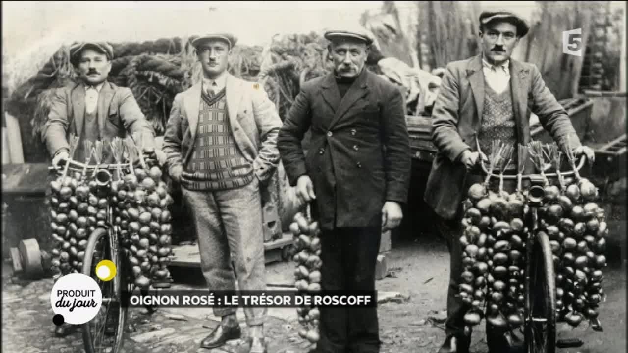 Oignon rosé : le trésor de Roscoff
