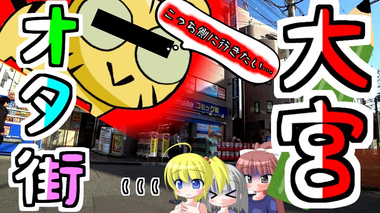 （埼玉県） 大宮のオタク街に行きました （最大？）　OTAKU street in OMIYA.