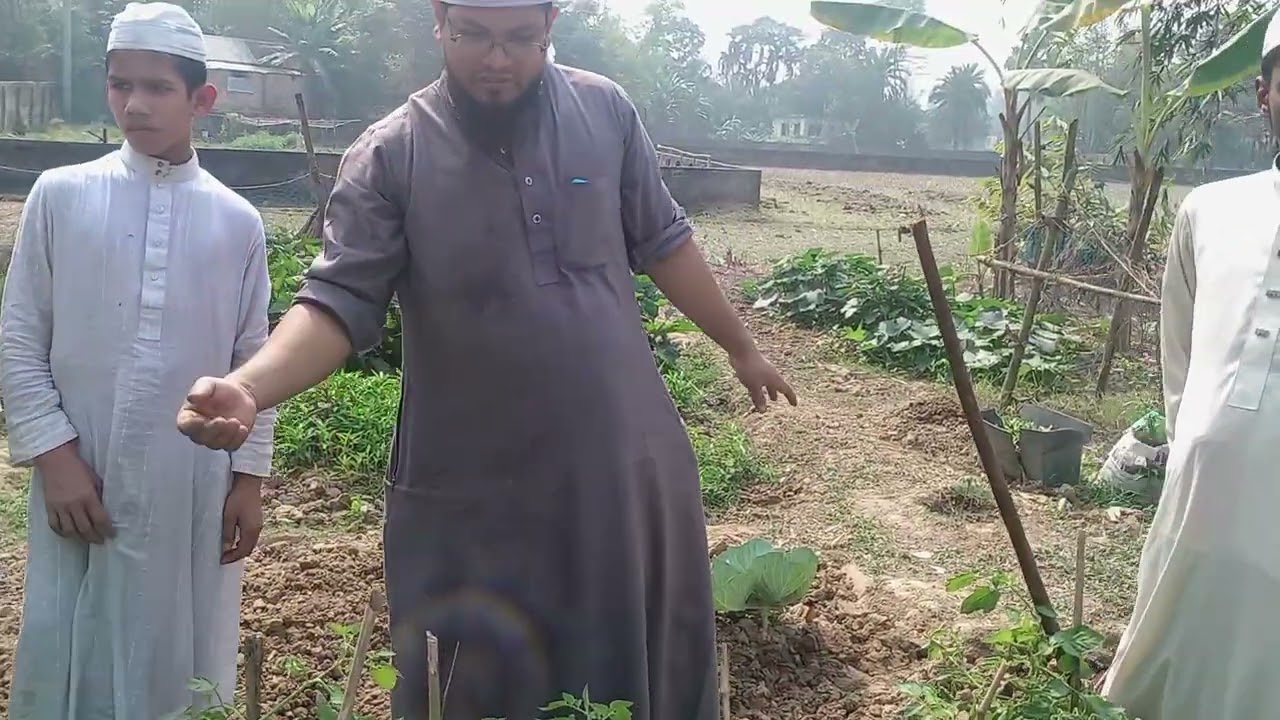 আমার বাগান থেকে পাতাকফি তুললাম।
