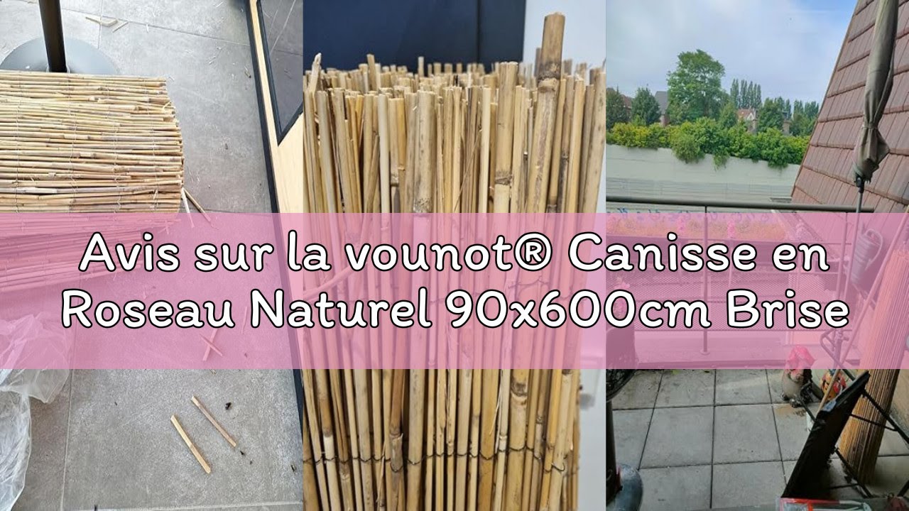 Avis sur la vounot® Canisse en Roseau Naturel 90x600cm Brise Vue en Rouleaux avec Attaches de Fixati