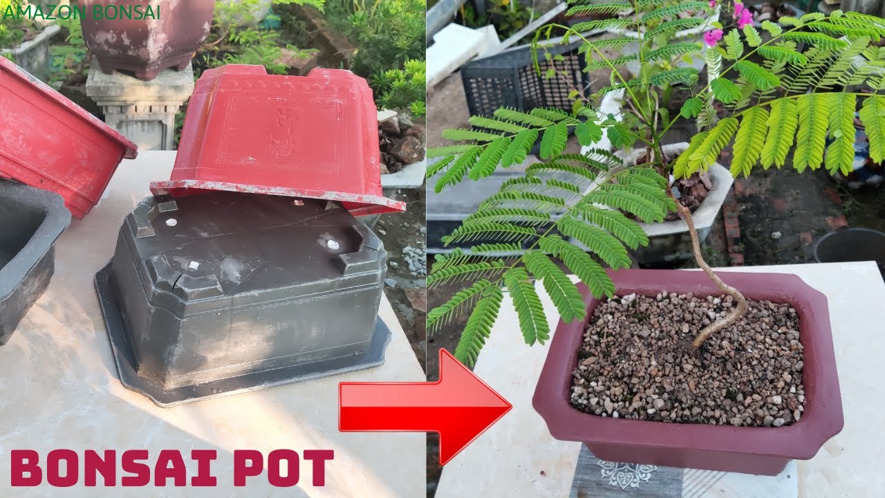 How to make cement pot bonsai pot at home easily