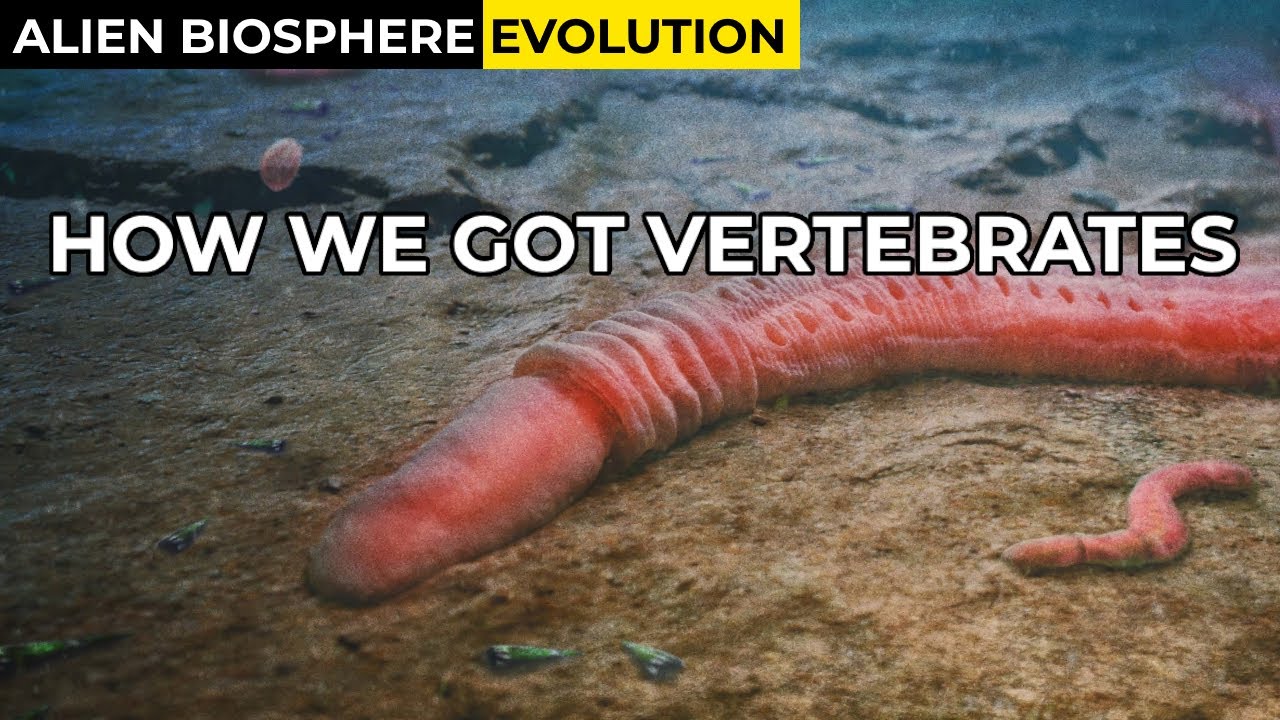 The Vertebrate Recipe | Alien Biosphere Evolution #9