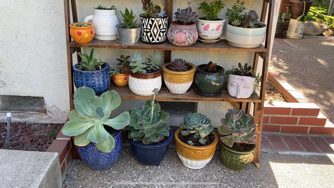 Paseo por el jardín de Claudia parte 2