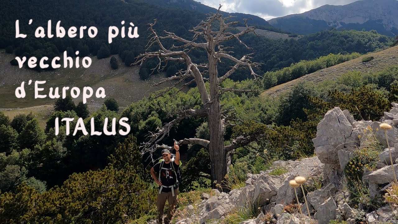 Alla ricerca di ITALUS