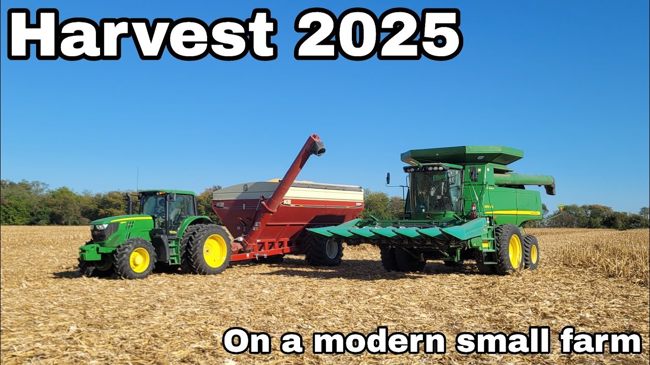 Harvesting corn on a modern small farm